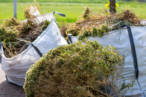 Best Household Junk Removal  in Northwood, OH